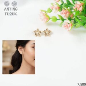 Anting Tusuk 19