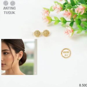 Anting Tusuk 20