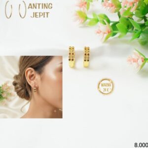 Anting Jepit