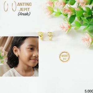 Anting Jepit 231