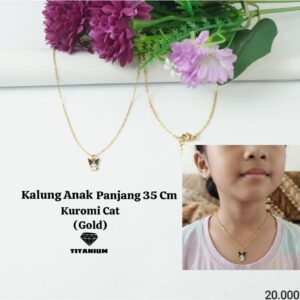 Kalung Anak Titanium 193
