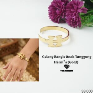 Gelang Bangle Titanium 551